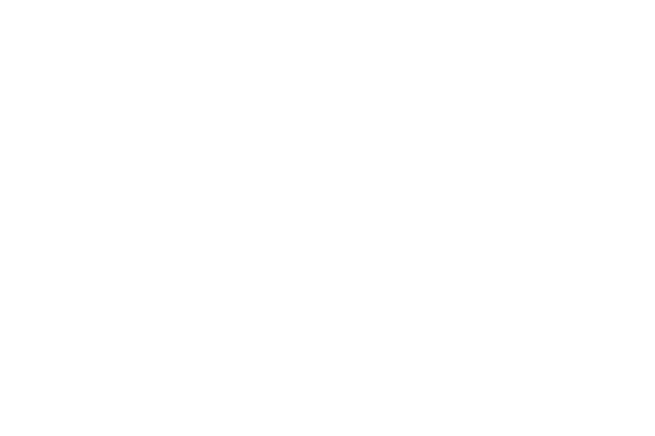 ZINZANE